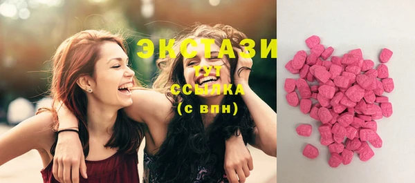 spice Новодвинск