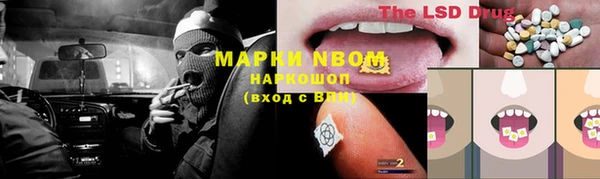 гидропоника Новокубанск
