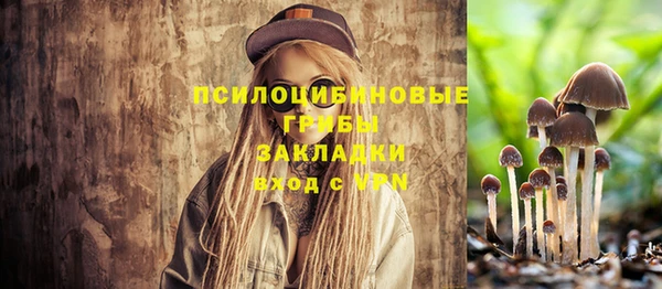гидропоника Новокубанск
