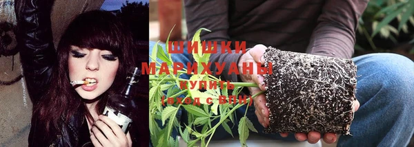 шишки Новозыбков
