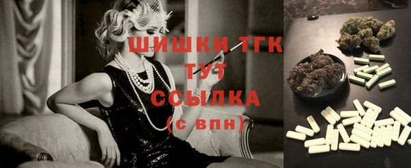 шишки Новозыбков
