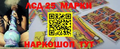 дмт Тара