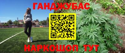 дмт Тара