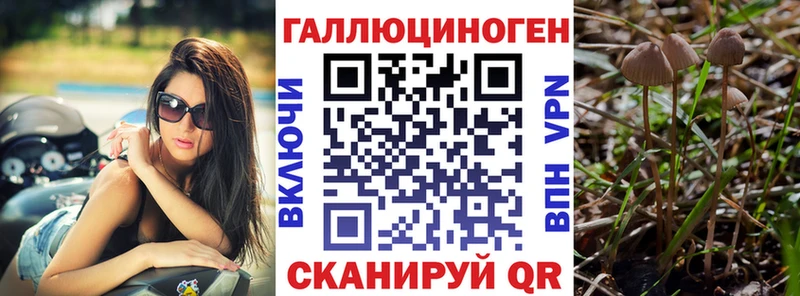 цена наркотик  Отрадный  Псилоцибиновые грибы мухоморы 