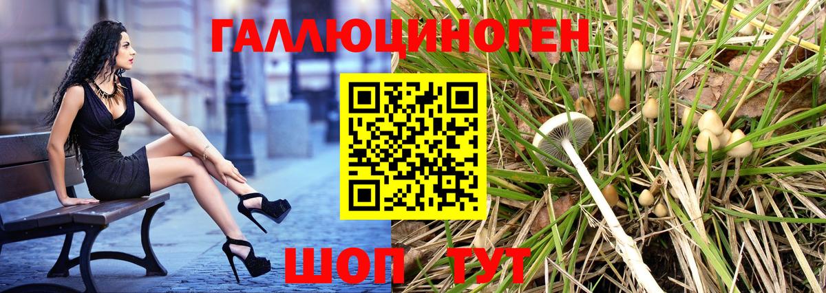 даркнет сайт  Вход с VPN  Отрадный  Галлюциногенные грибы мицелий 